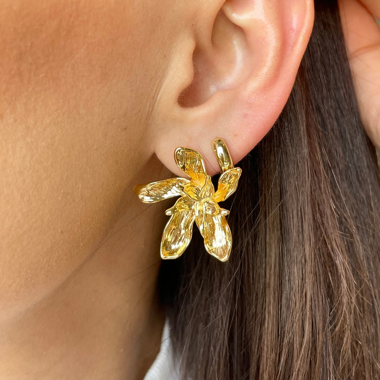 Aretes Julia.