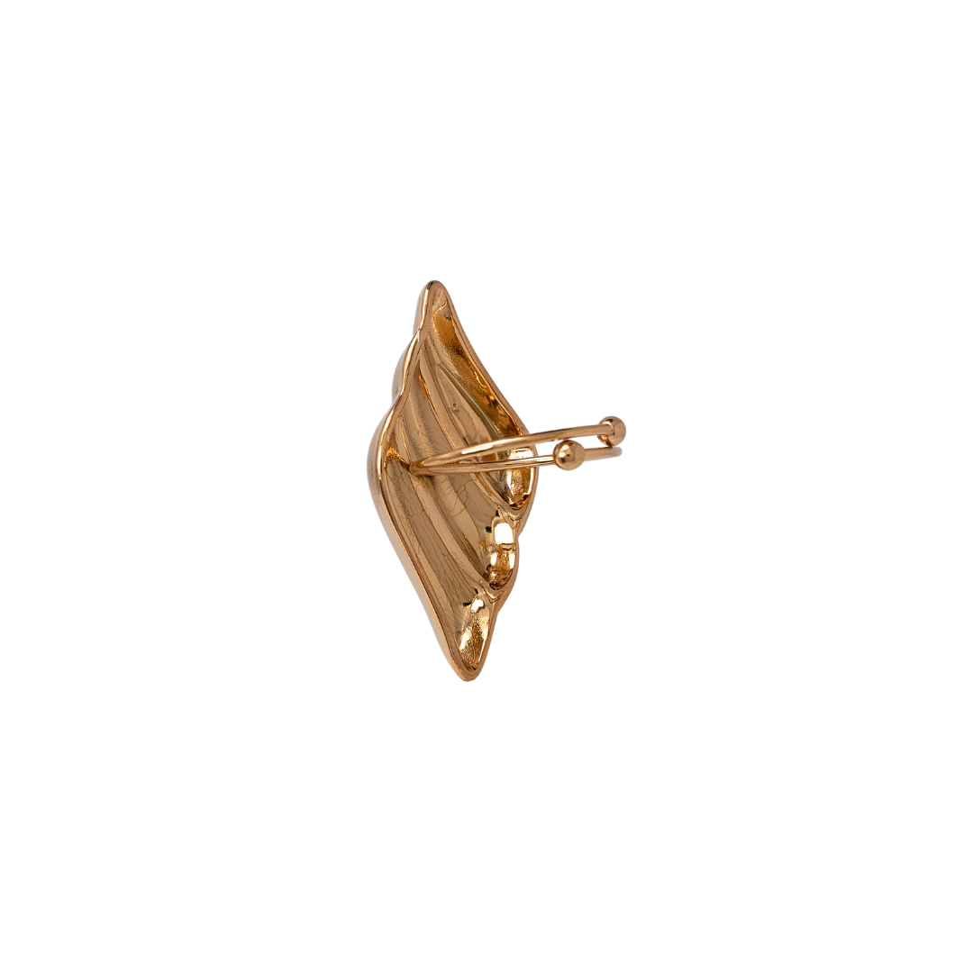 Anillo Bombón.