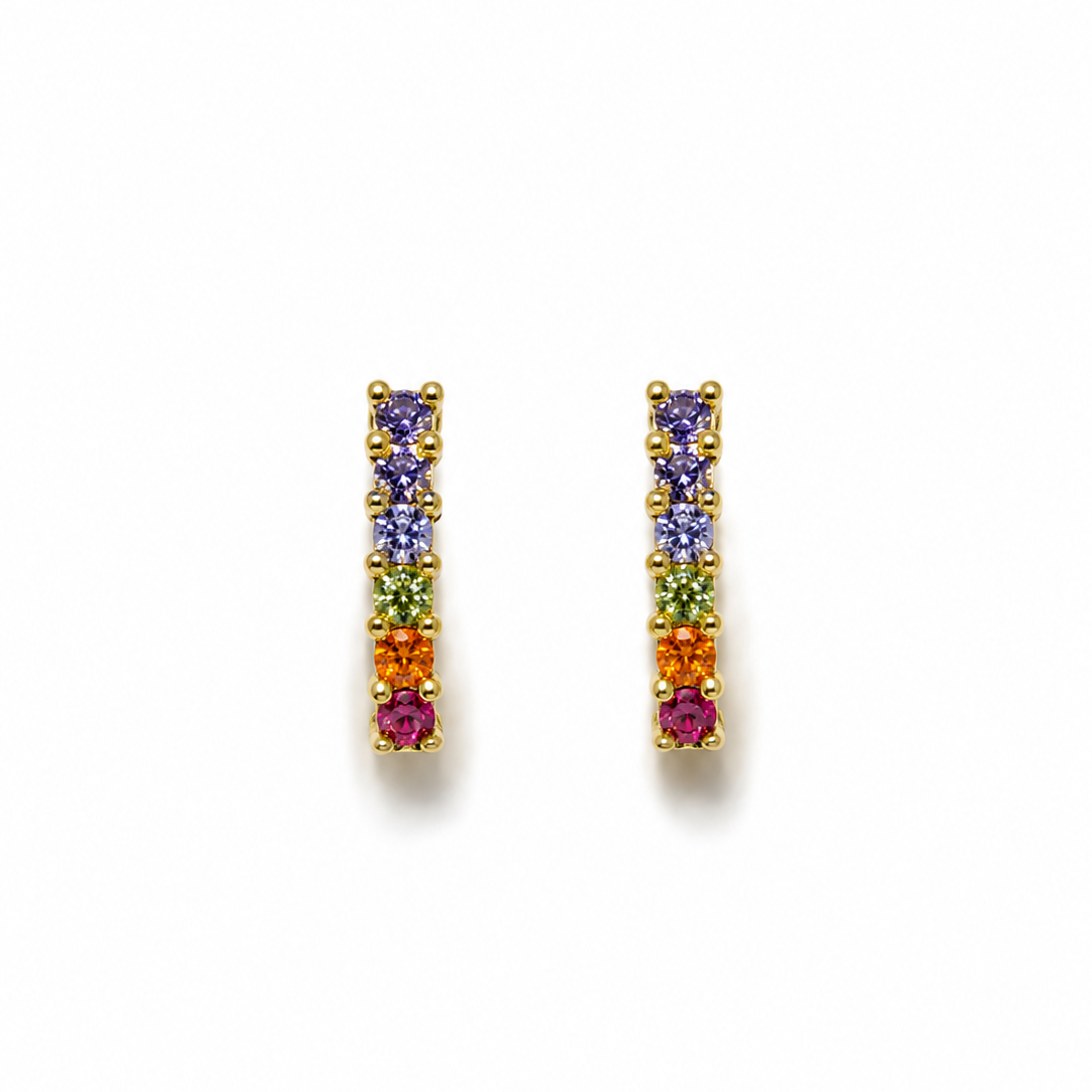 Aretes Barra.