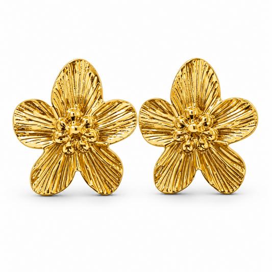 Aretes Begoña.