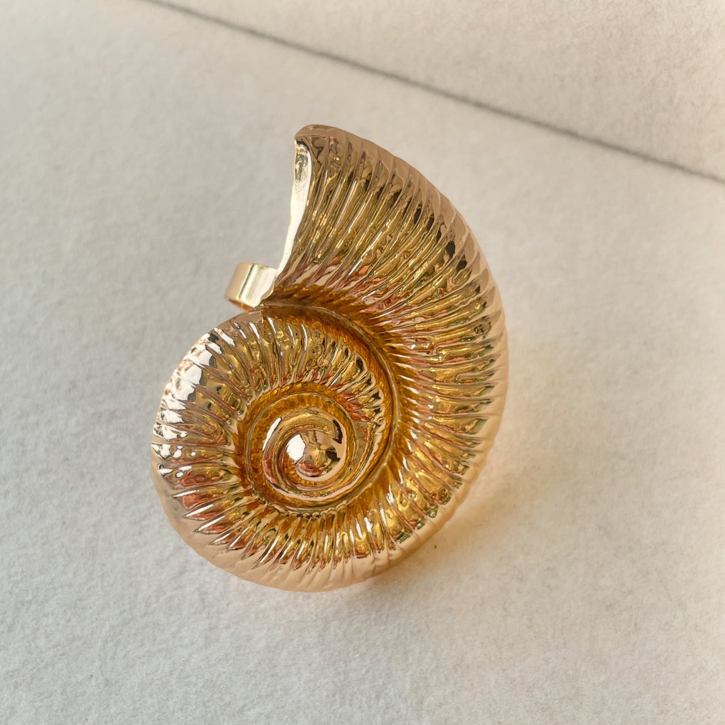 Anillo Caracol.