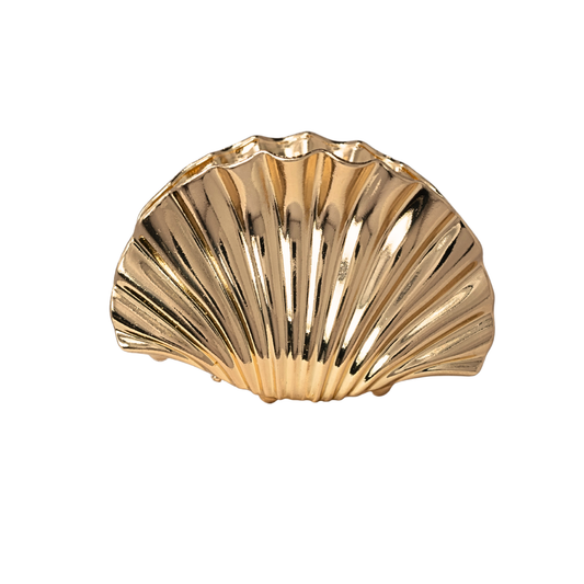 Pinza Concha.