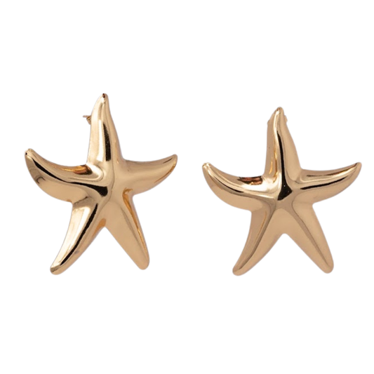 Aretes Estrella.