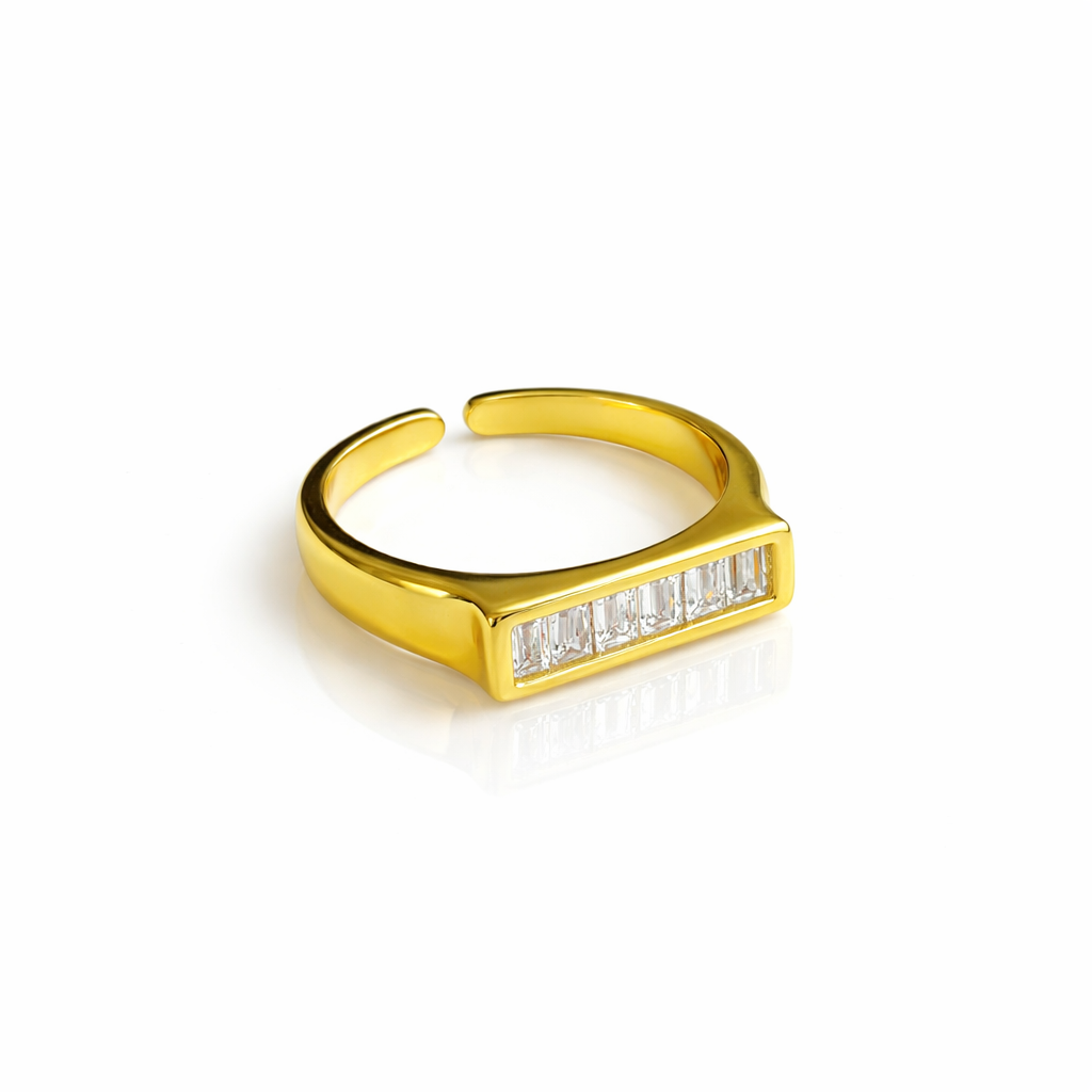 Anillo Barra.