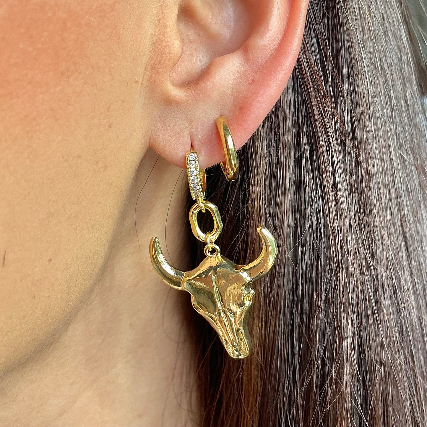 Aretes Toro.