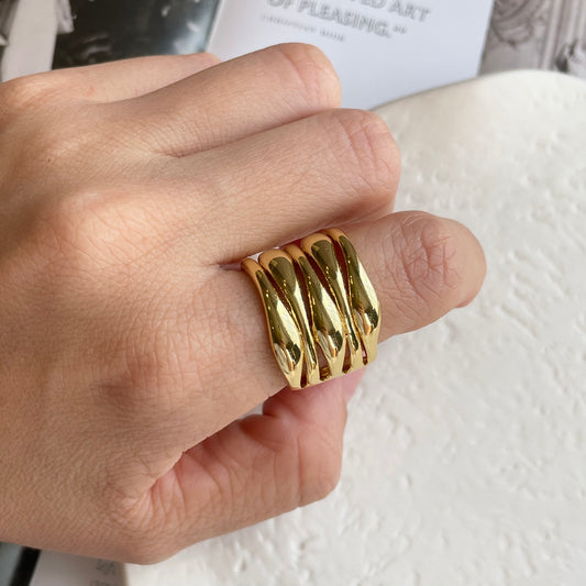 Anillo Nido.