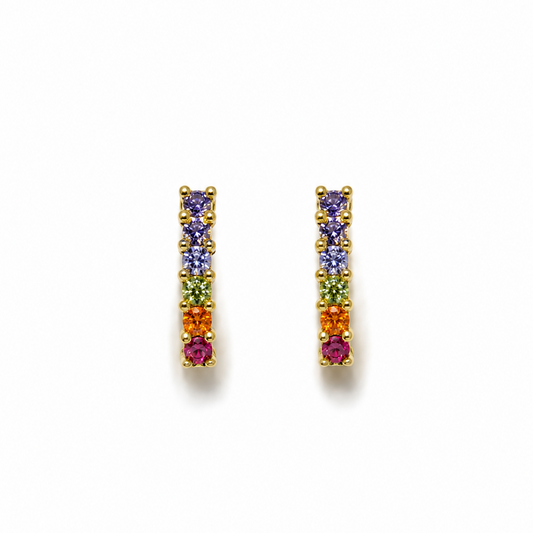 Aretes Barra.