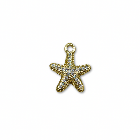 Estrella de mar.